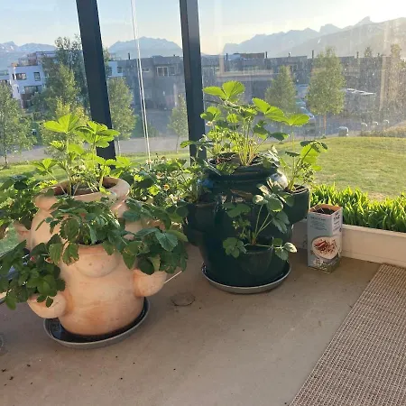 Apartment Cozy And 3 Bedroom *