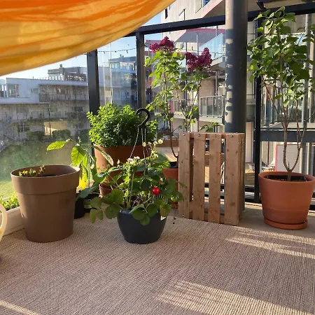 Cozy And 3 Bedroom *