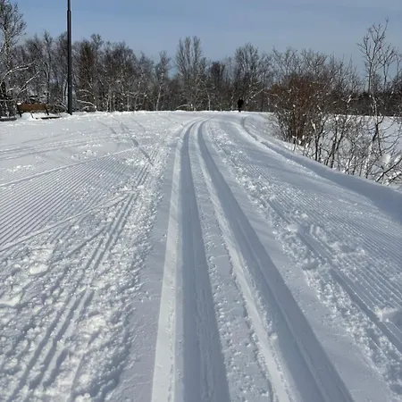 Apartment Cozy And 3 Bedroom