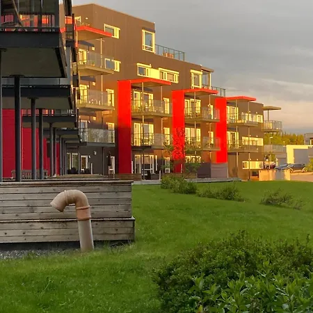 Cozy And 3 Bedroom Apartment *