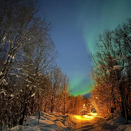 Cozy And 3 Bedroom Apartment Tromso