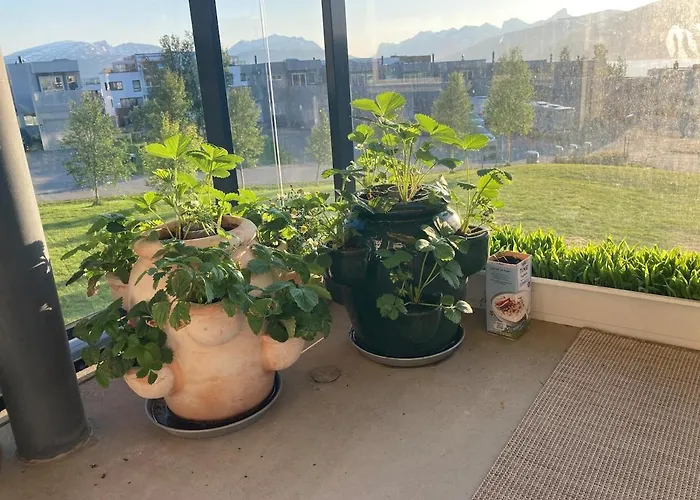 Apartamento Cozy And 3 Bedroom *