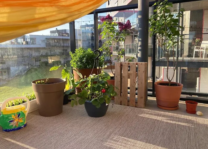 Cozy And 3 Bedroom *