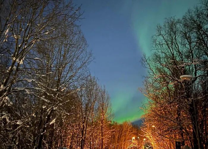 Cozy And 3 Bedroom Apartamento Tromsø